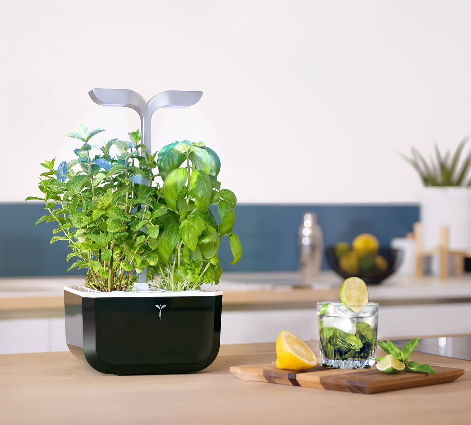 Amazon.com : Veritable EXKY Smart Soft Black - Hydroponics Growing